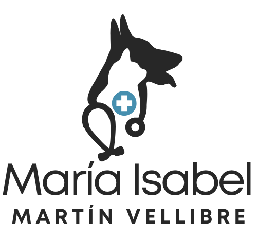 María Isabel Martín Vellibre